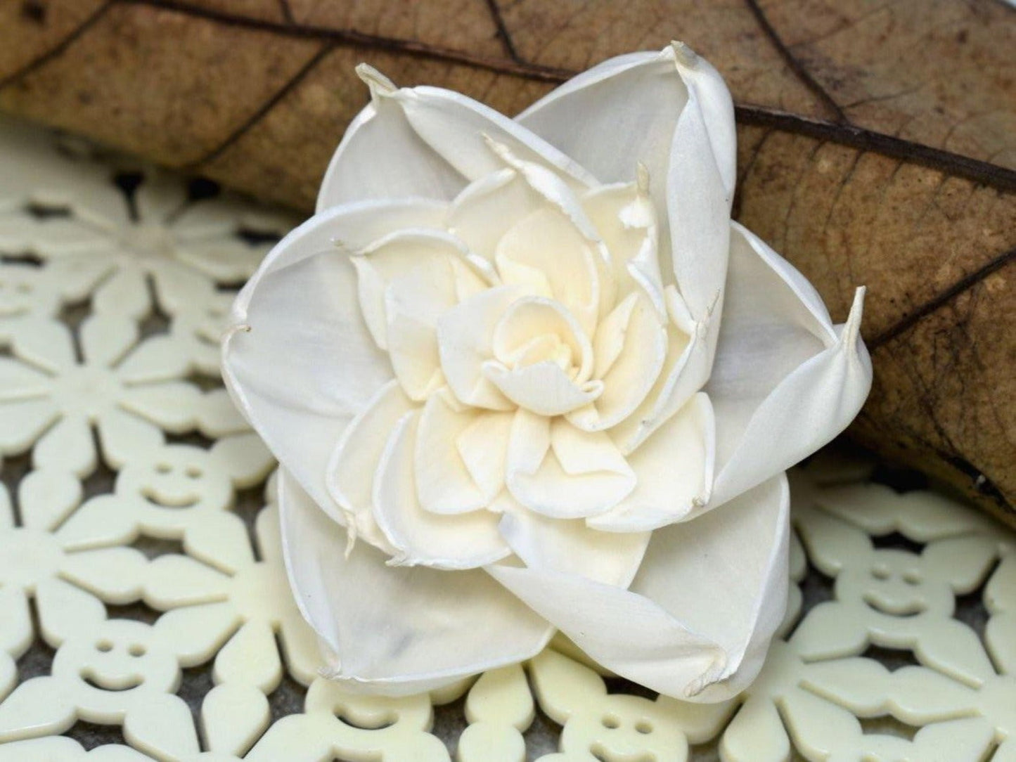 Amber Sola Wood Flower