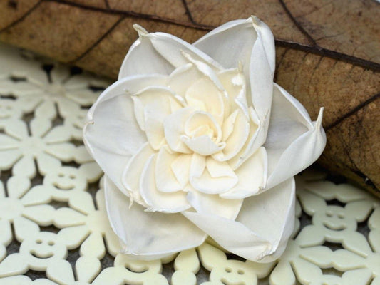 Amber Sola Wood Flower