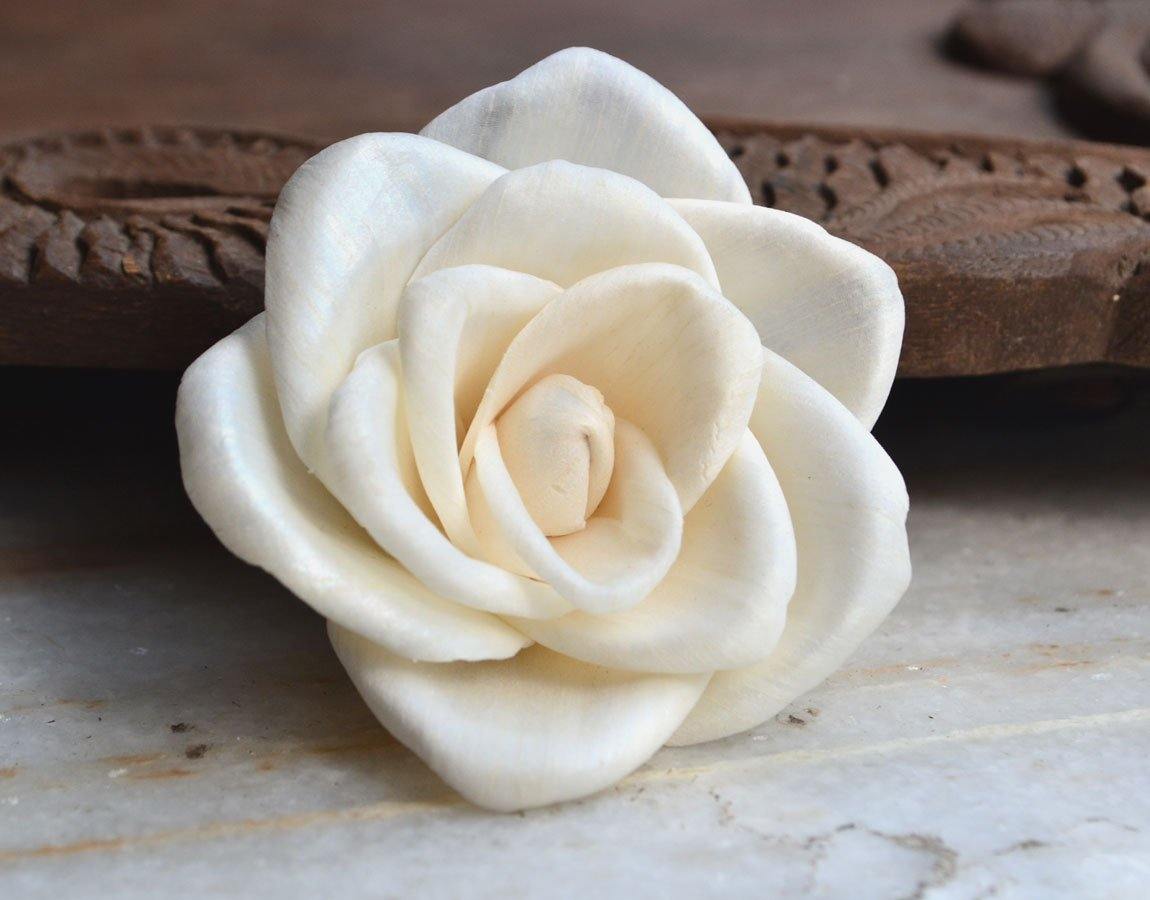 Basil Sola Wood Flower
