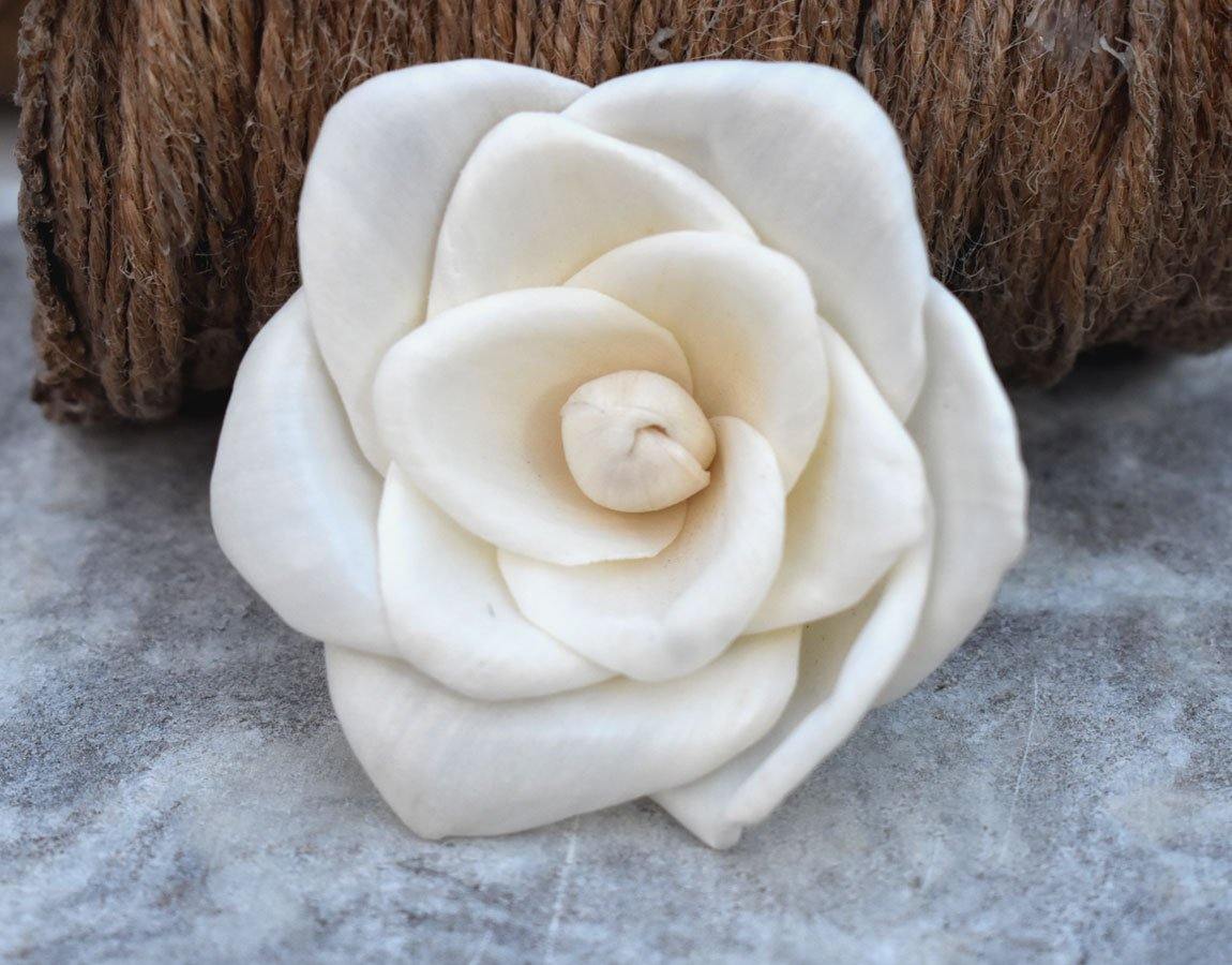 Basil Sola Wood Flower
