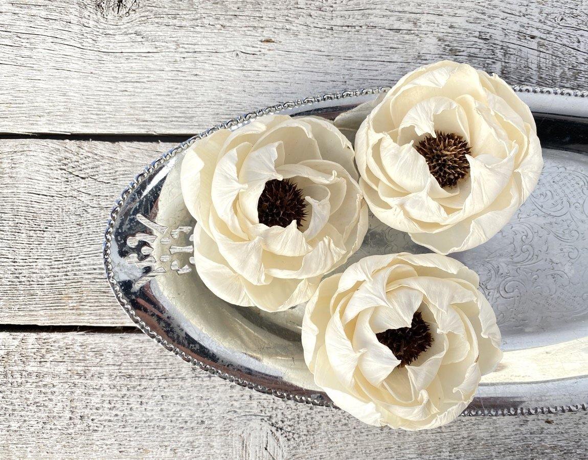 Black Pearl Sola Wood Flower