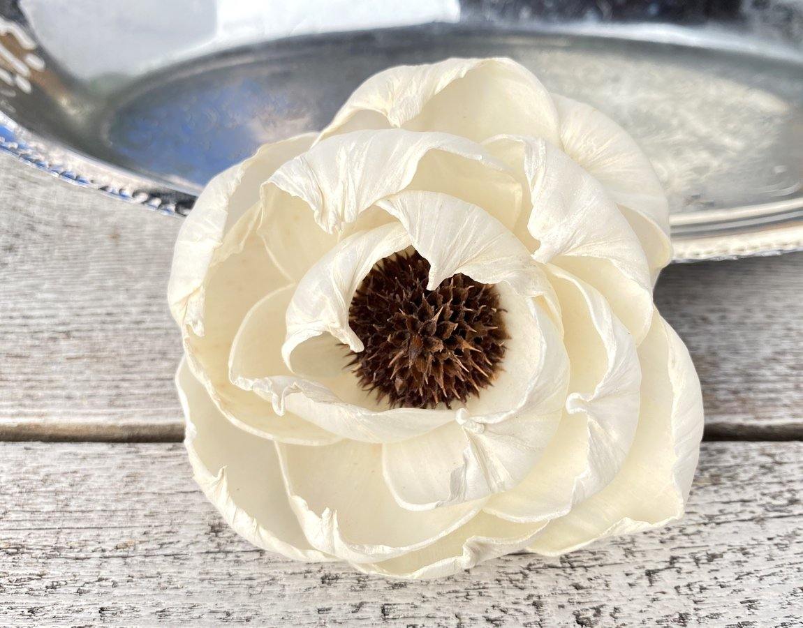 Black Pearl Sola Wood Flower