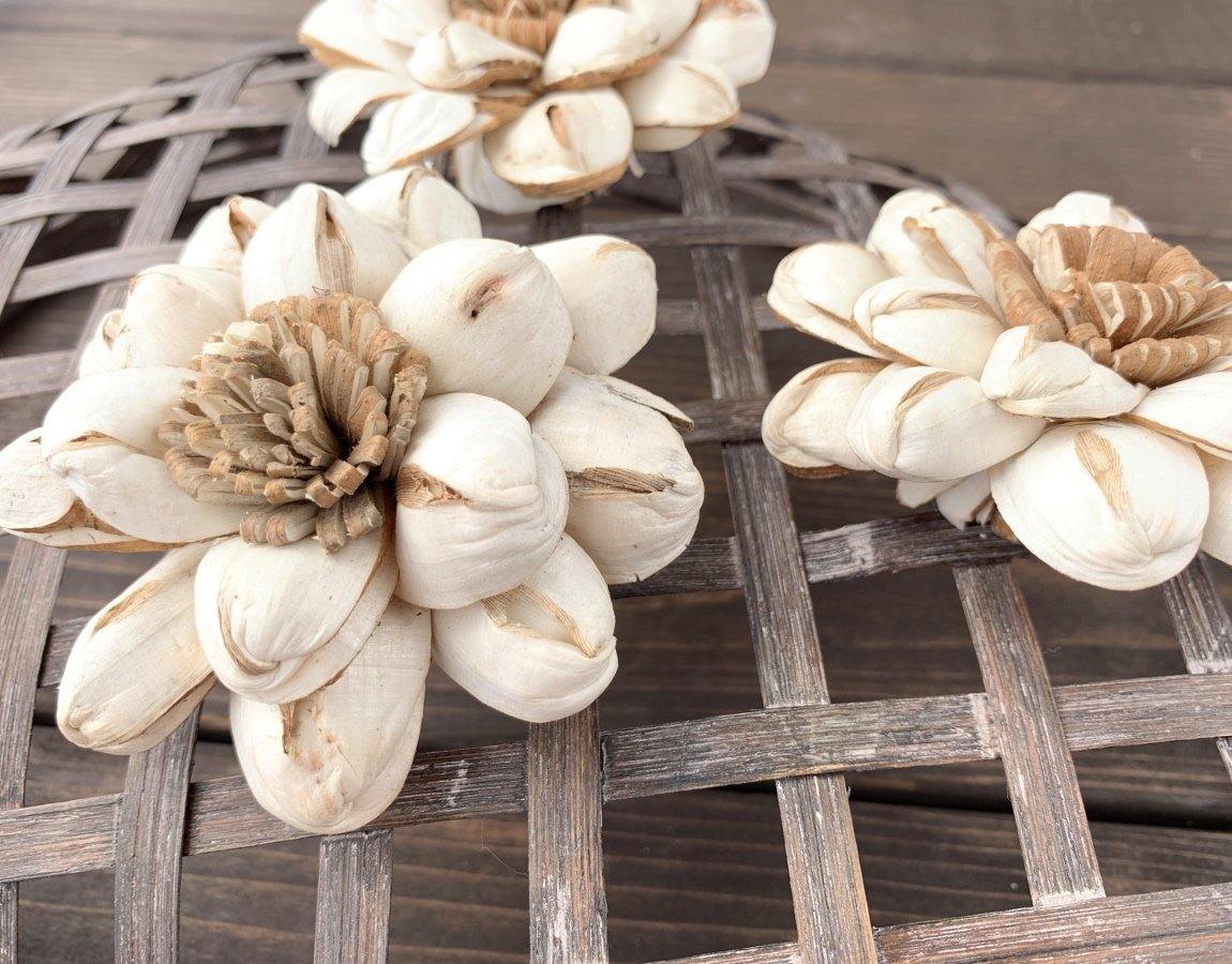 Chocolate Sun Sola Wood Flower