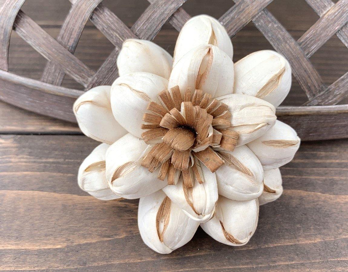 Chocolate Sun Sola Wood Flower