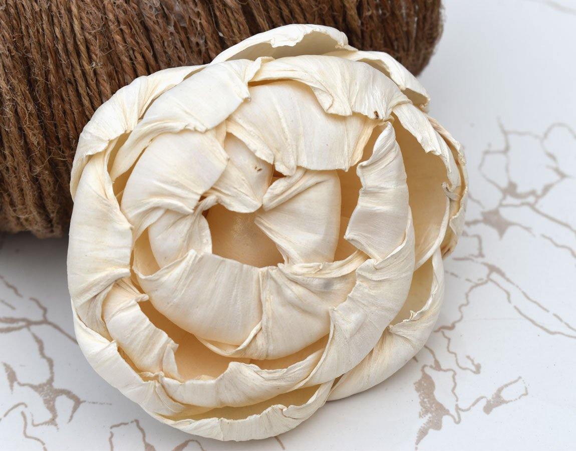 Closed Peony Sola Wood Flower