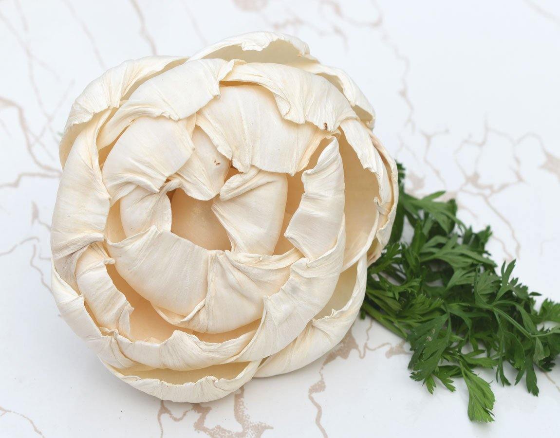 Closed Peony Sola Wood Flower
