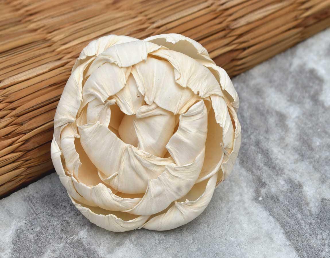 Closed Peony Sola Wood Flower