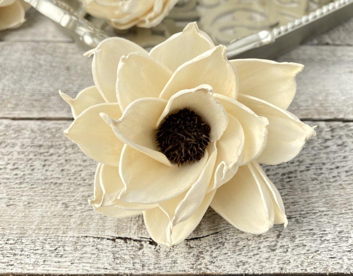 Daisy Eclipse Sola Wood Flower