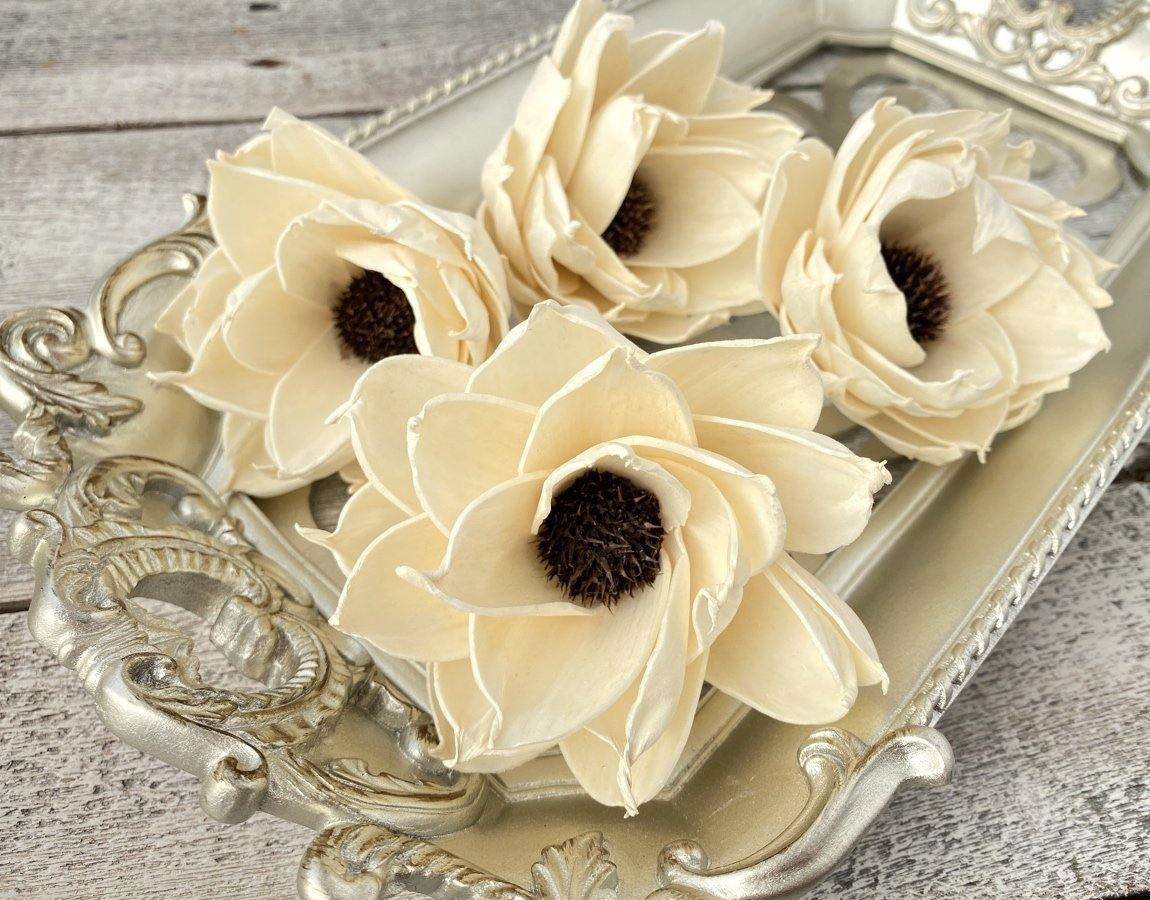 Daisy Eclipse Sola Wood Flower