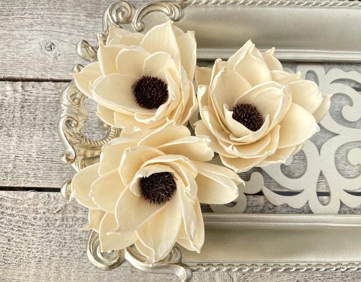 Daisy Eclipse Sola Wood Flower