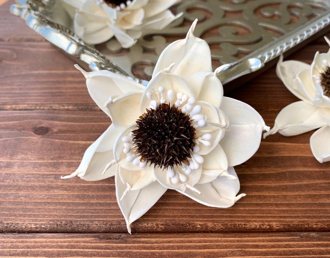 Eclipse Sola Wood Flower