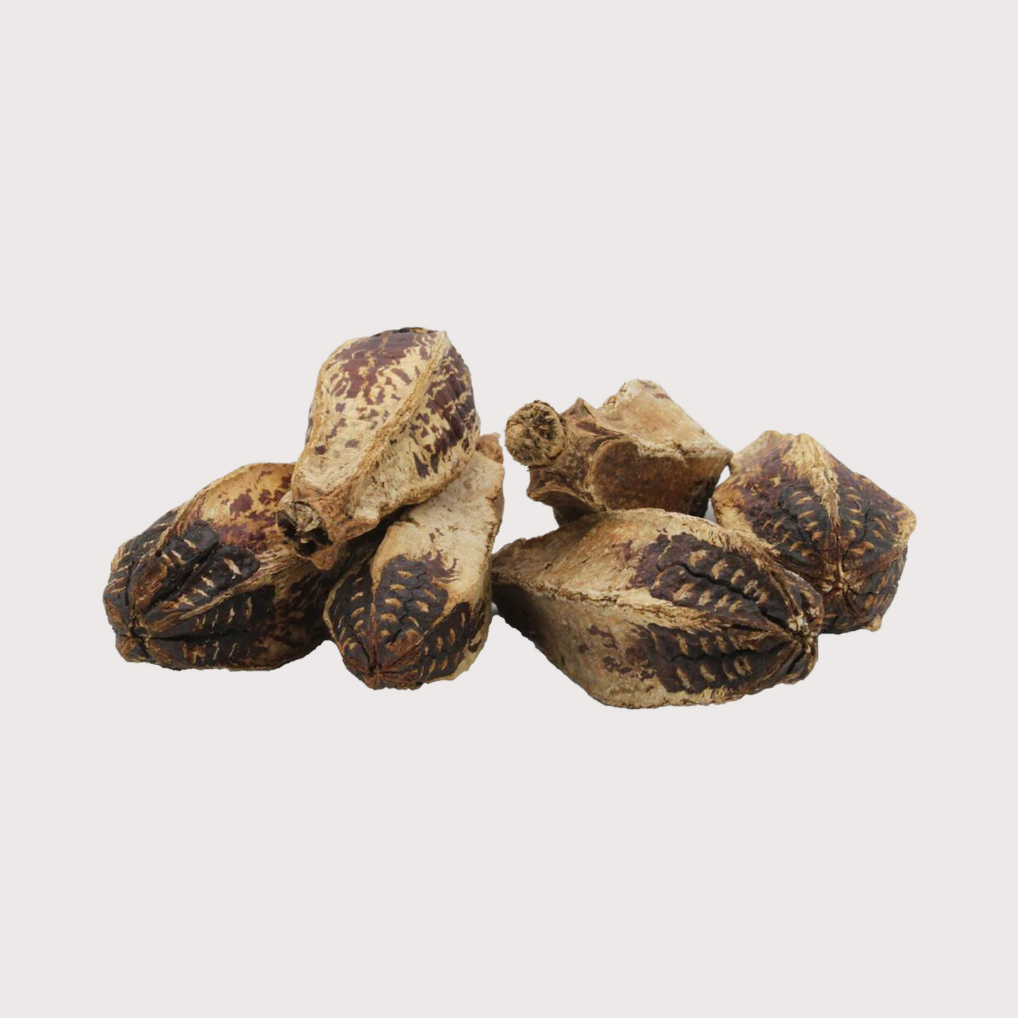 Natural Mahogany Pods Bird Toys for All Birds