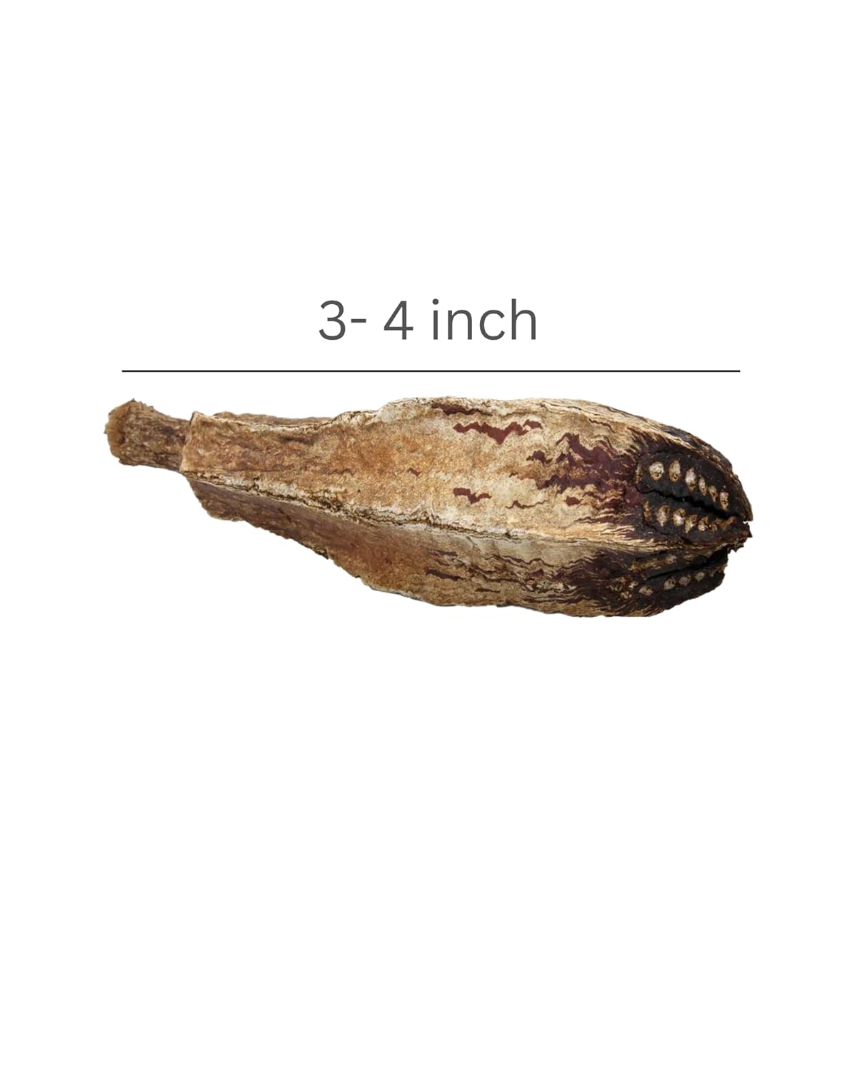 Natural Mahogany Pods Bird Toys for All Birds