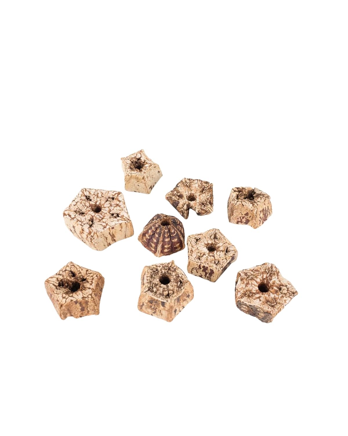 Mahogany Pod Slices Bird Toys 20 pcs