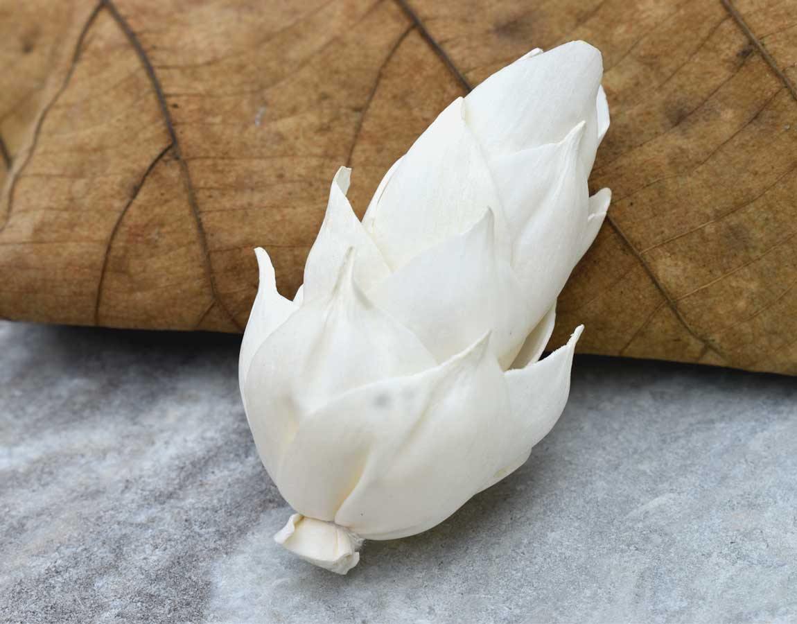 Leilani Pine Sola Wood Flower