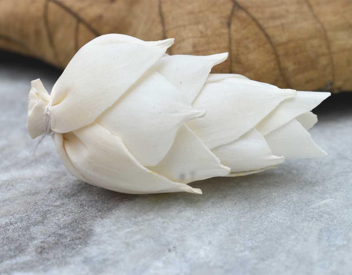 Leilani Pine Sola Wood Flower