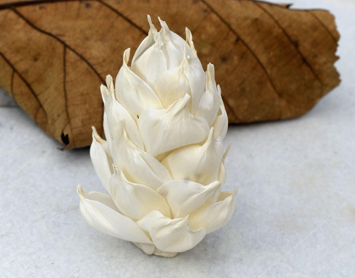 Leilani Pine Sola Wood Flower