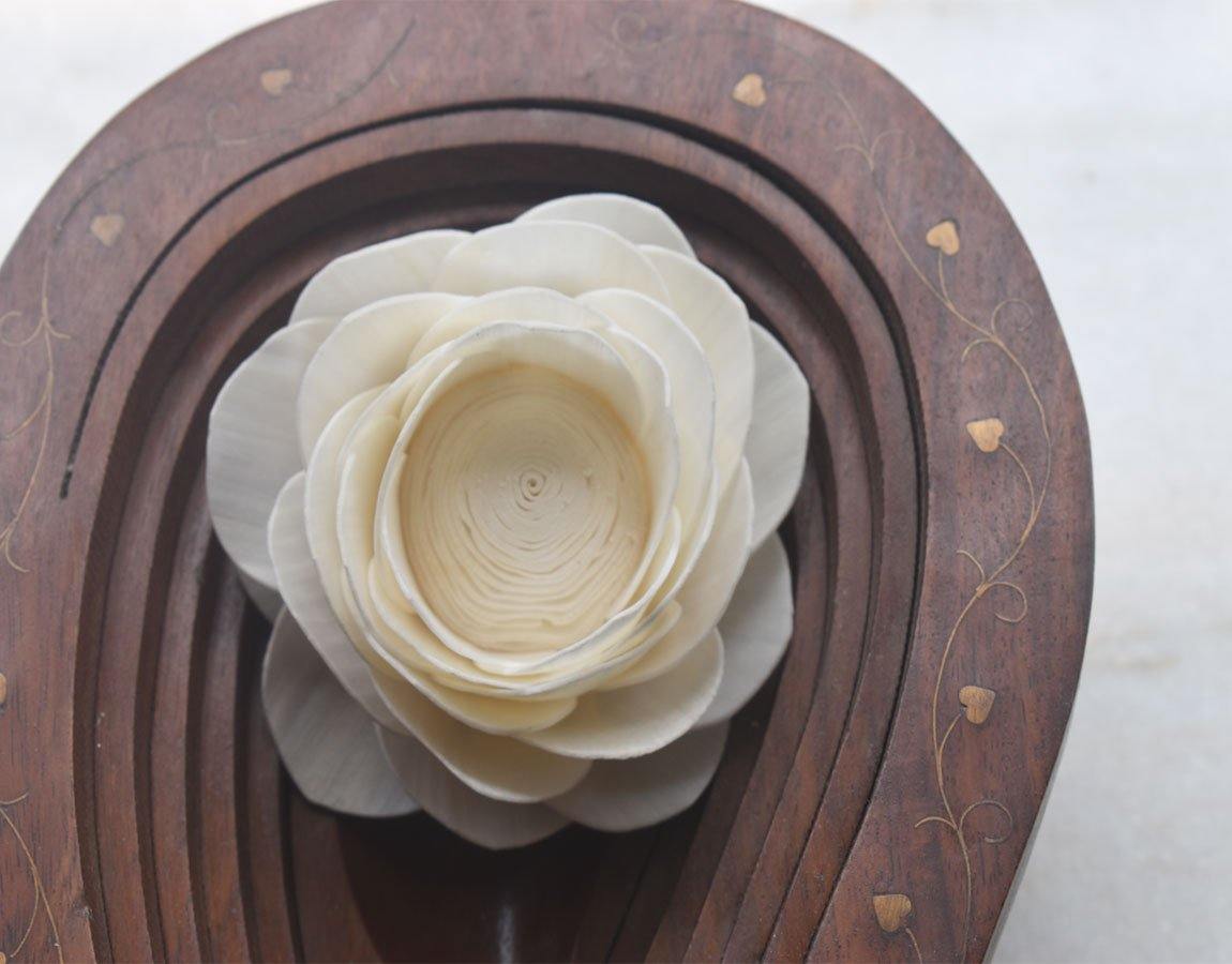 Sola Lotus Flower