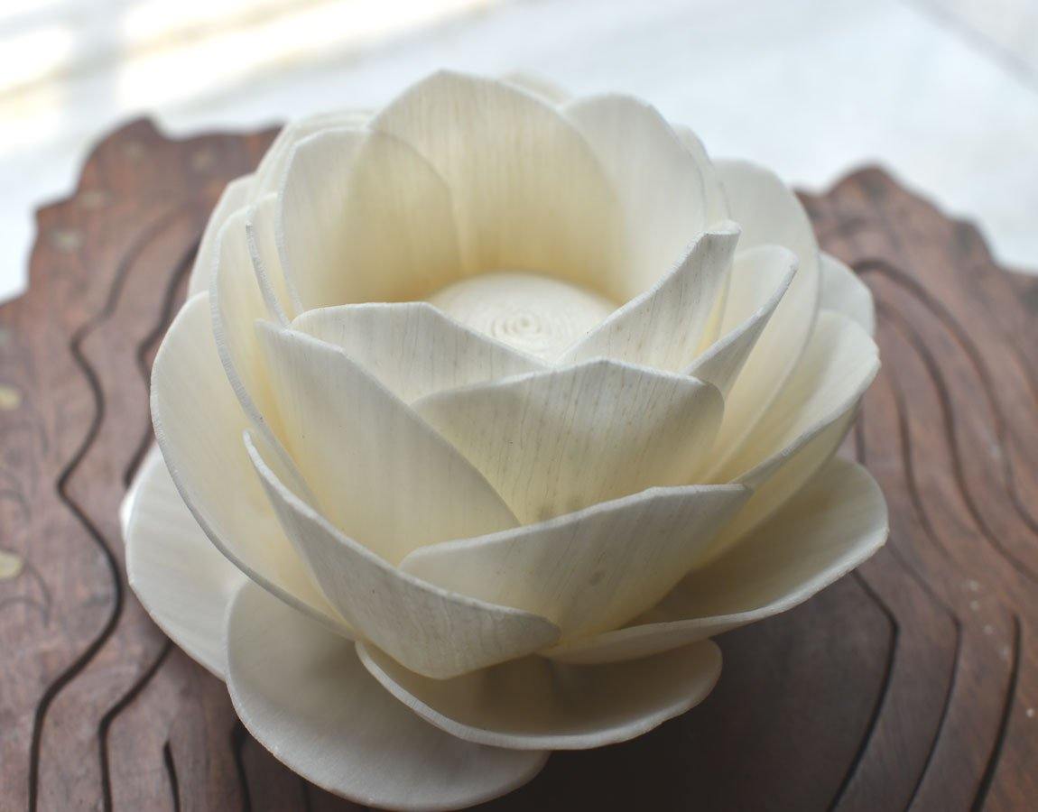 Sola Lotus Flower