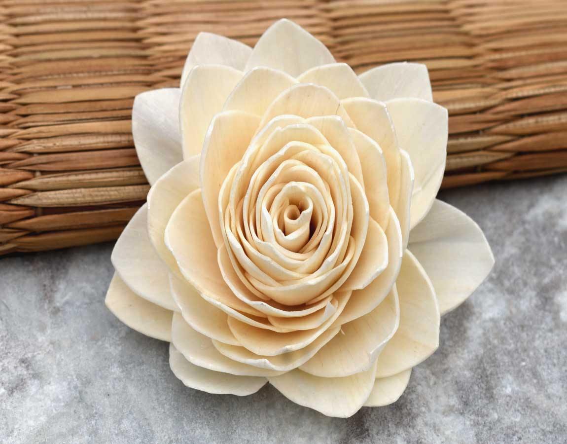 Sola Water Lily Flower