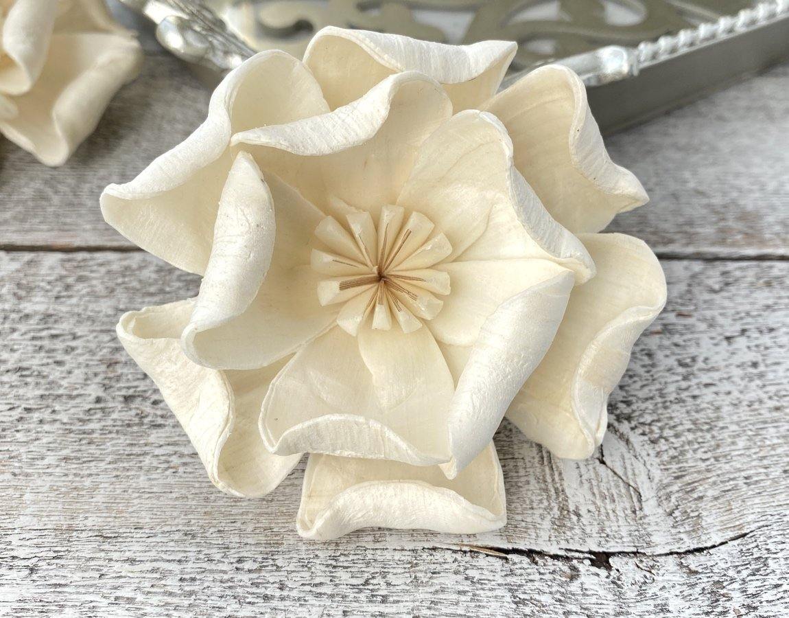 Mangolia Sola Wood Flower