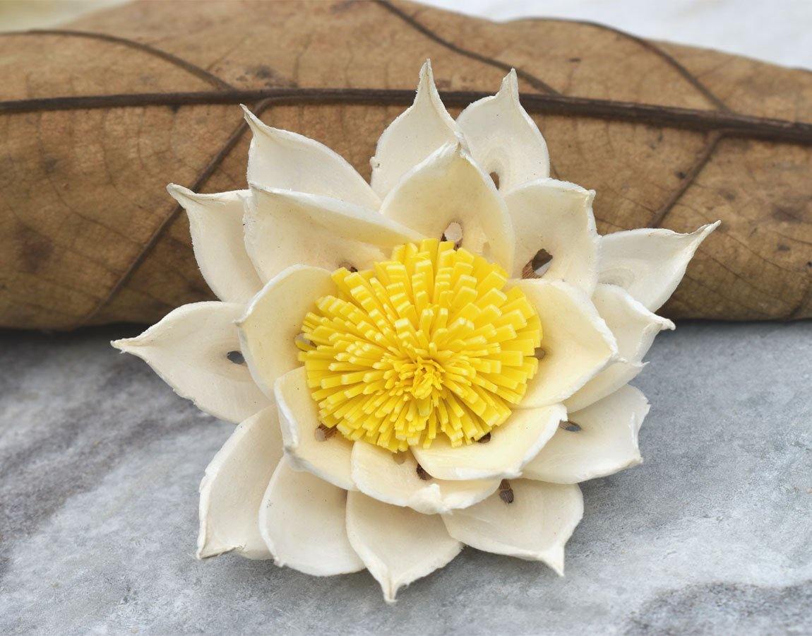 Marguerite Sola Wood Flower