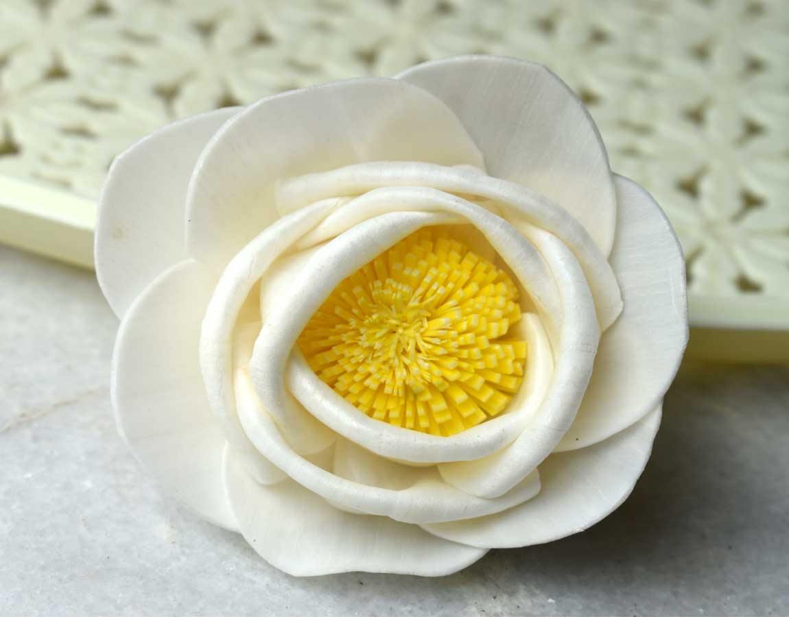 Musturd Rose Sola Wood Flower