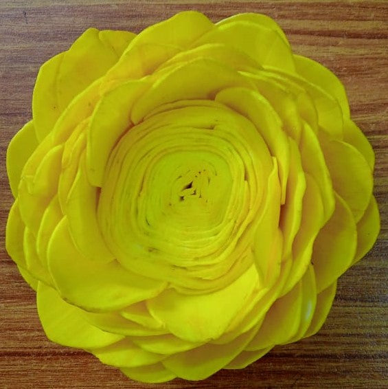 Sola Lotus Flower