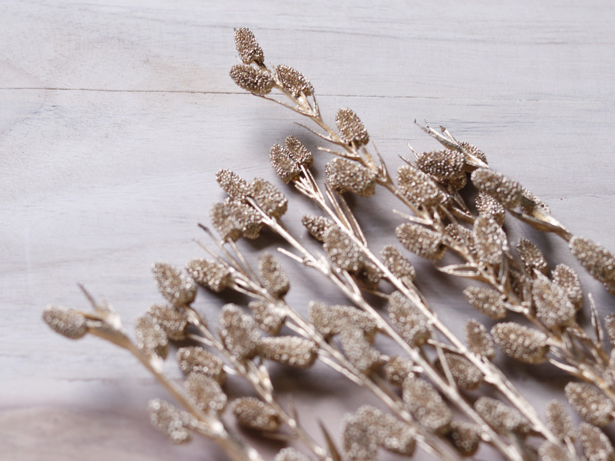 Dried Small Litchi Stick