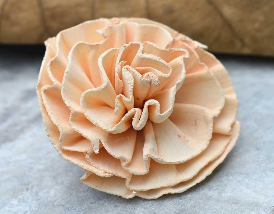 New Dawn Sola Wood Flower