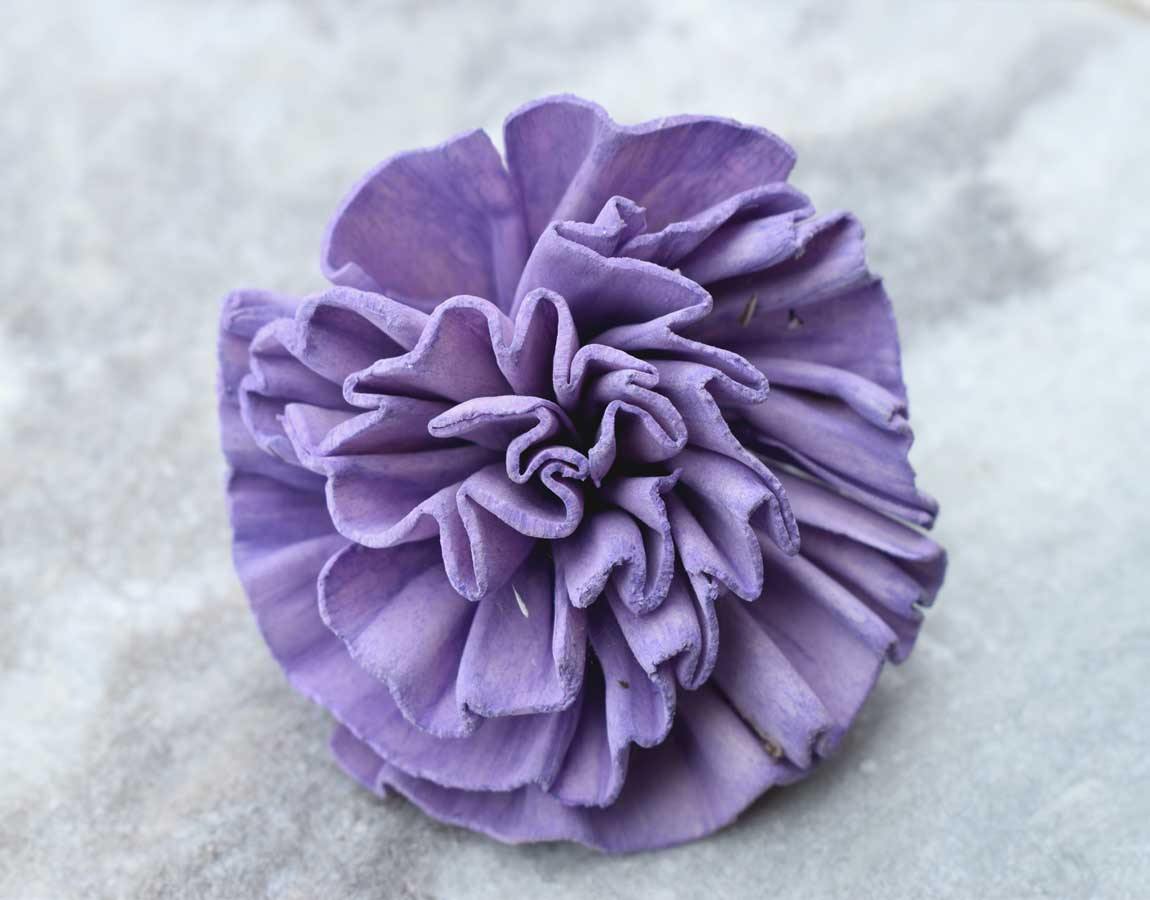 New Dawn Sola Wood Flower