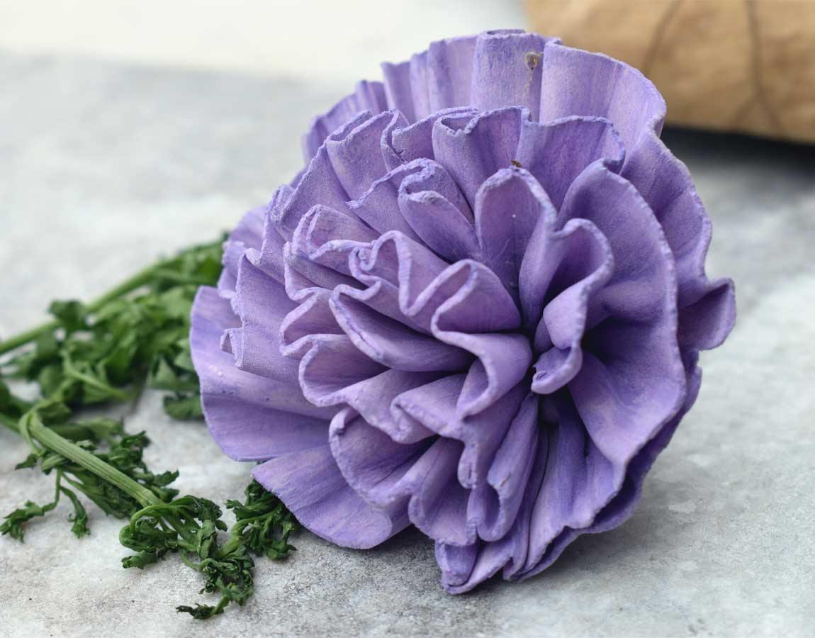 New Dawn Sola Wood Flower