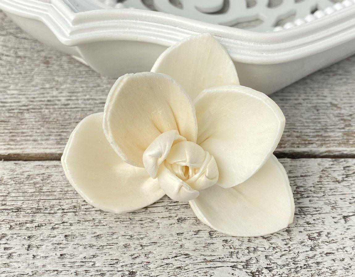 Orchid Sola Wood Flower