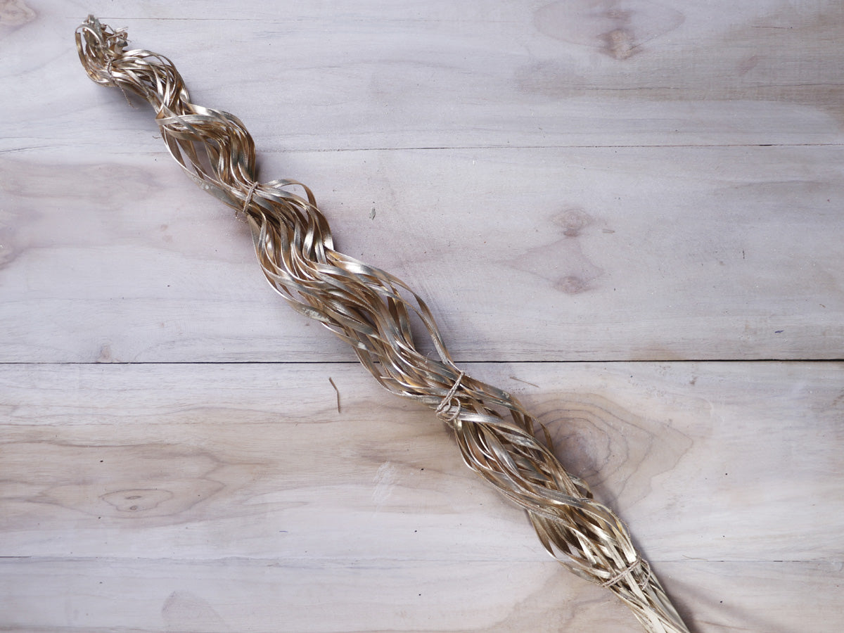 Palm Leaf Long Laser