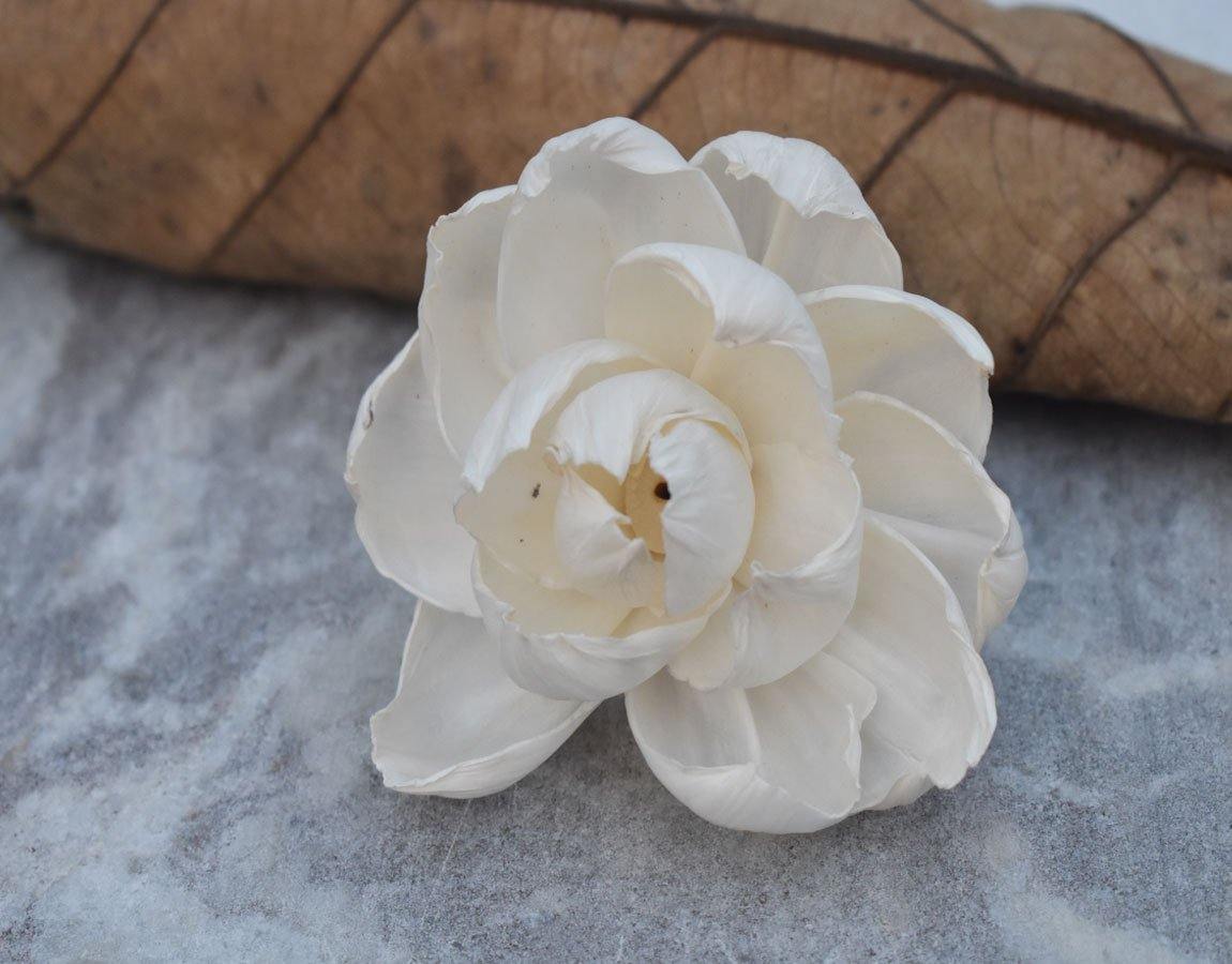 Open Peony Sola Wood Flower