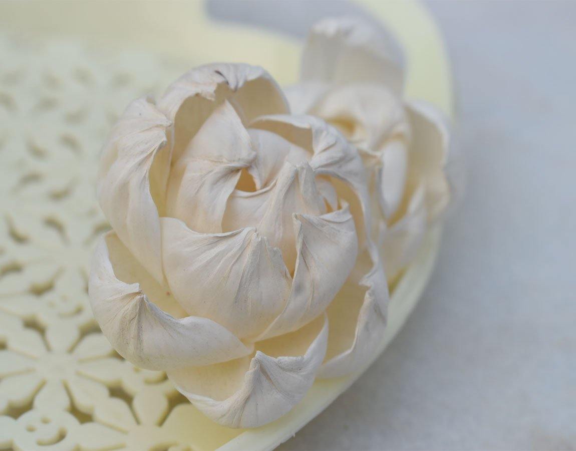 Peony Sola wood Flower