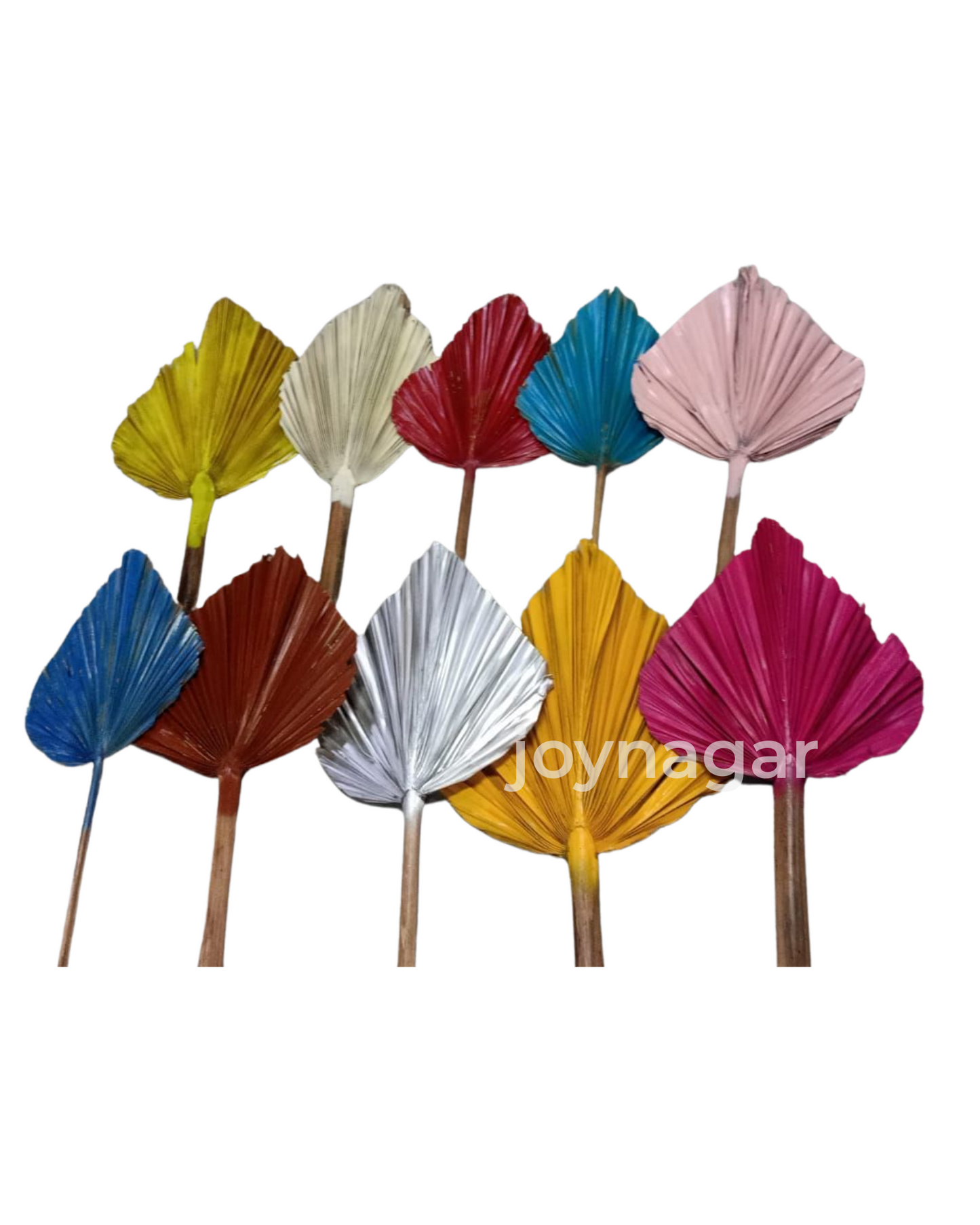 Natural Dried Palm Leaf Spear