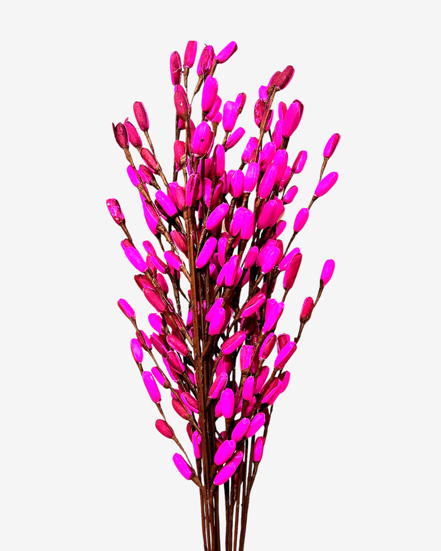 Corn Rose Lily Flower Bunch