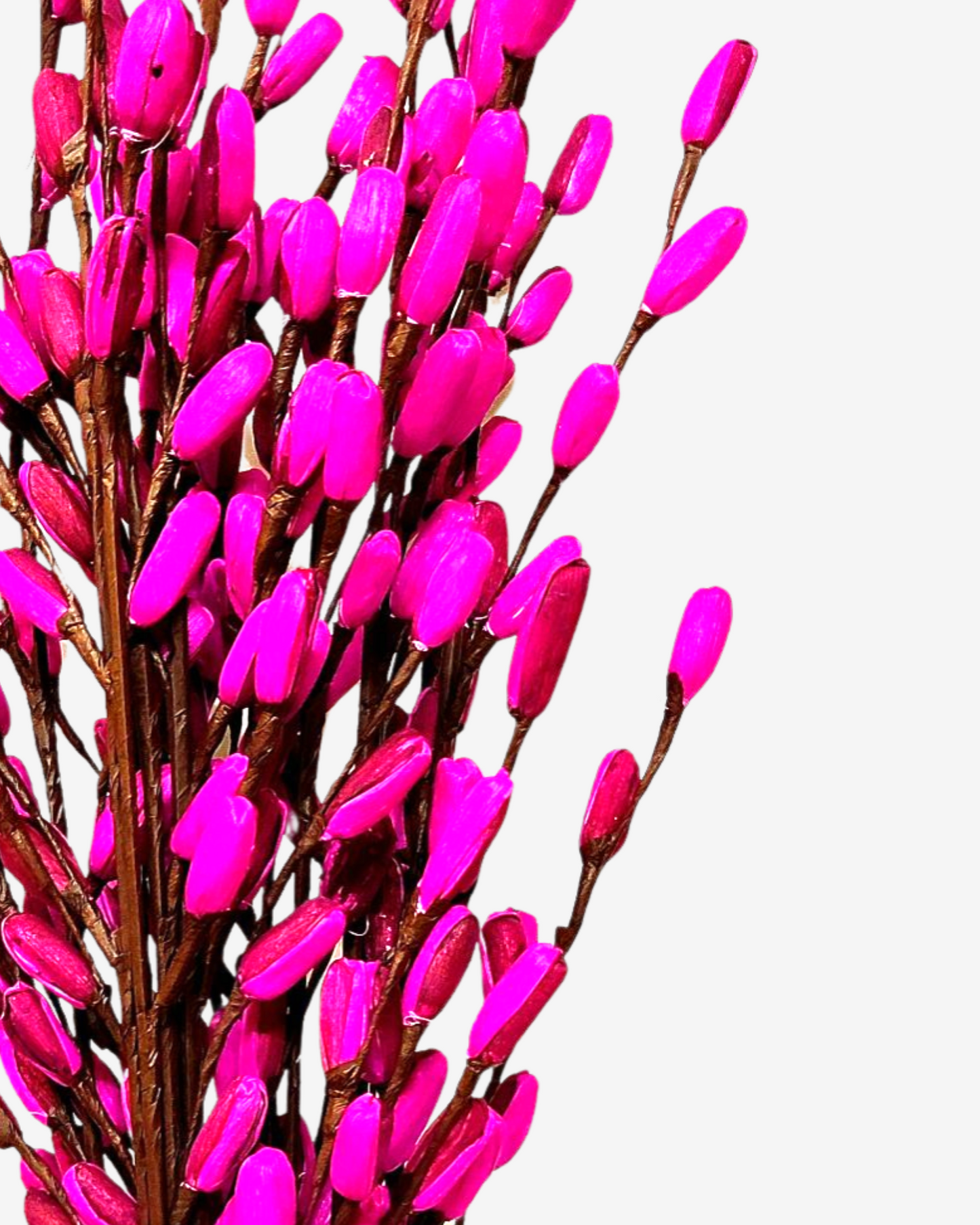 Corn Rose Lily Flower Bunch