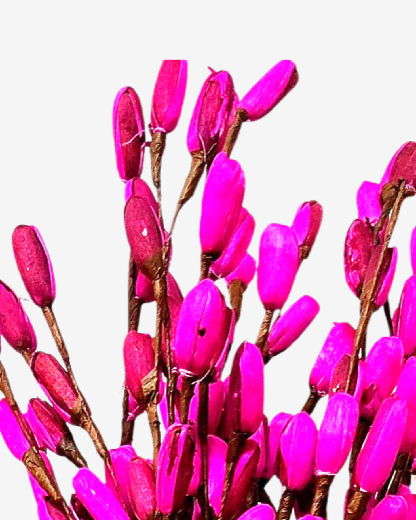 Corn Rose Lily Flower Bunch