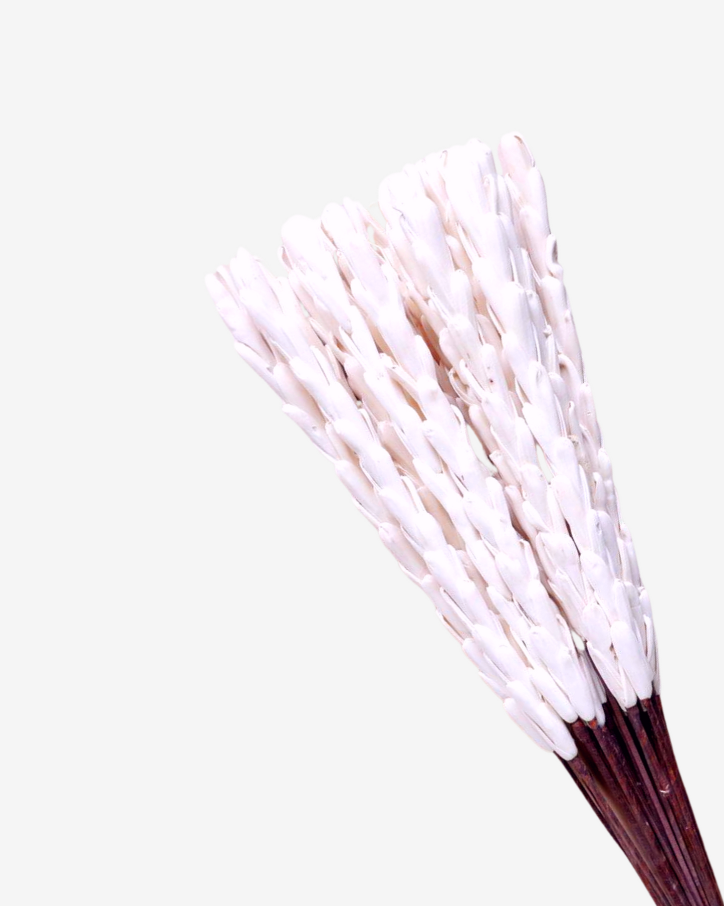 Sola Wood Pine Handmade Flower Stick