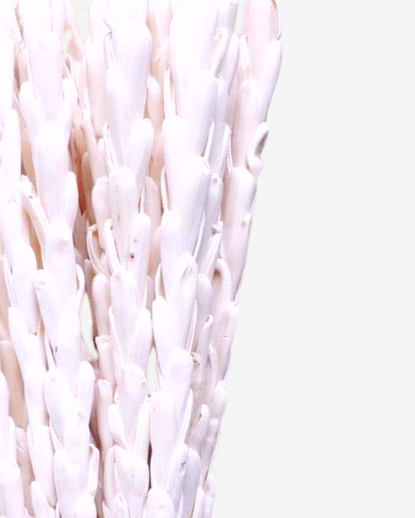 Sola Wood Pine Handmade Flower Stick