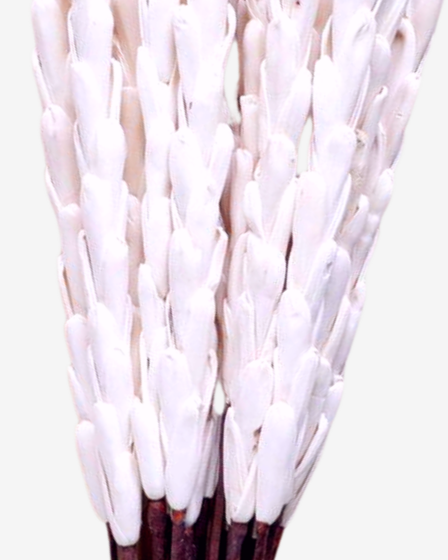 Sola Wood Pine Handmade Flower Stick