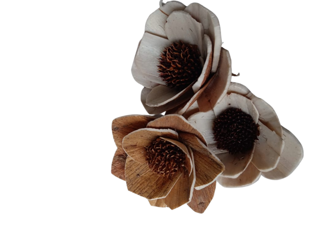Ava Mix Daisy Sola Wood Flower