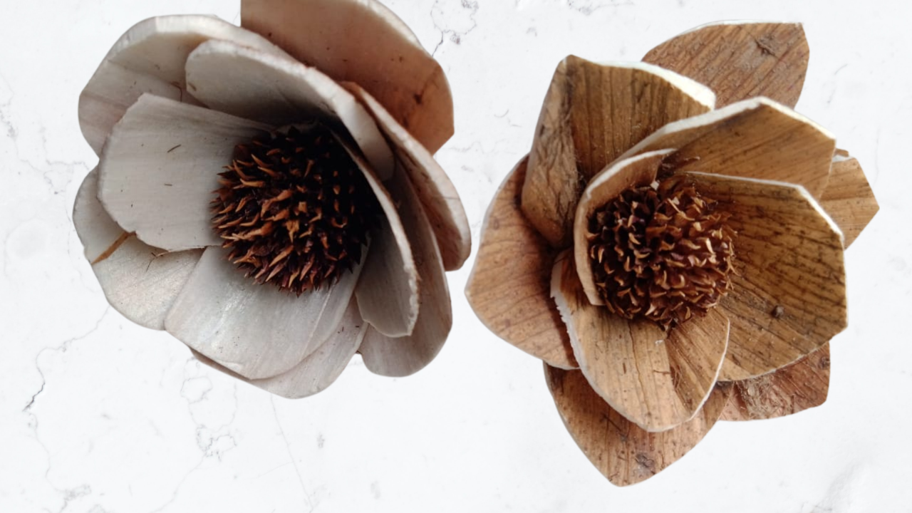 Ava Mix Daisy Sola Wood Flower
