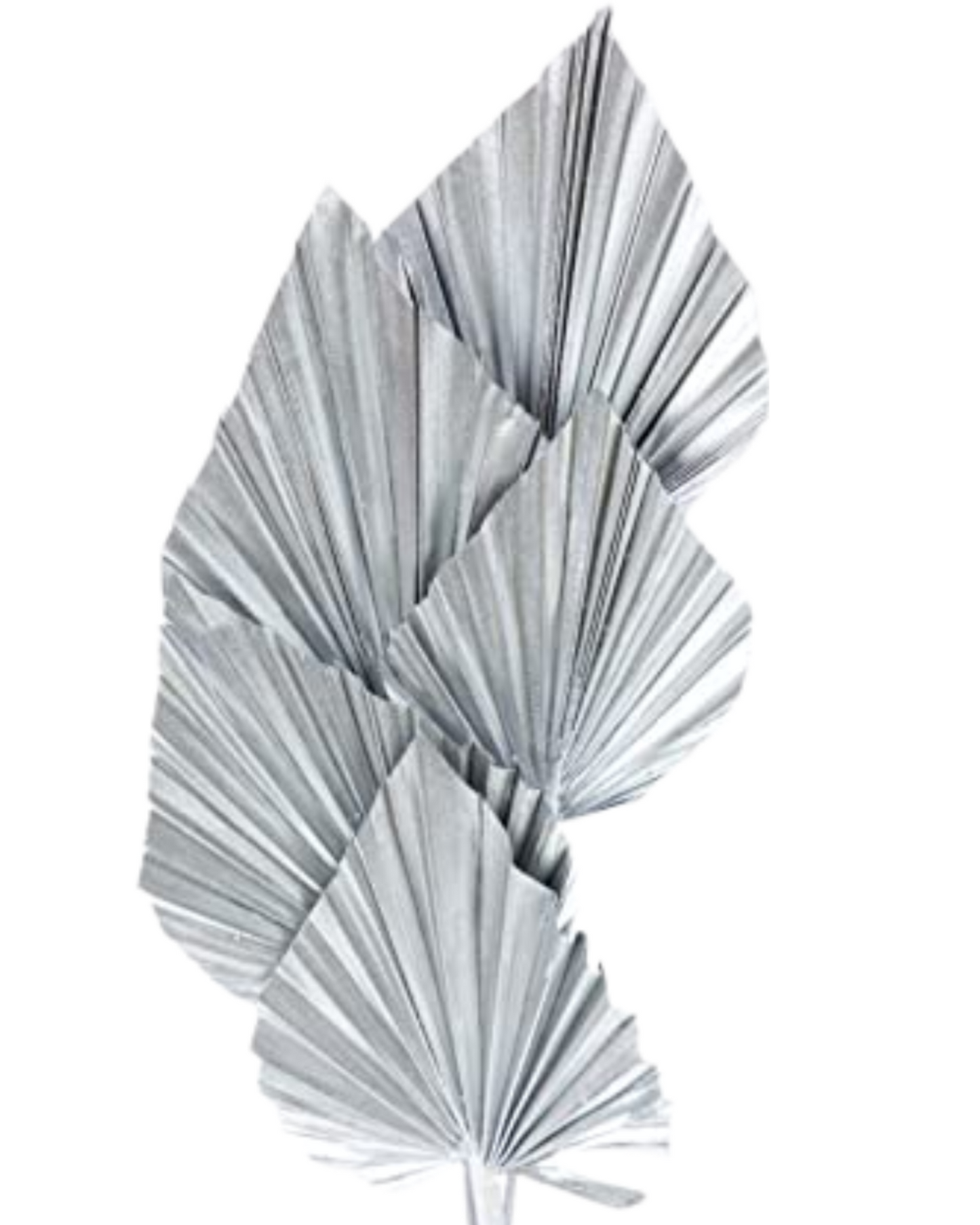 Natural Dried Palm Leaf Spear