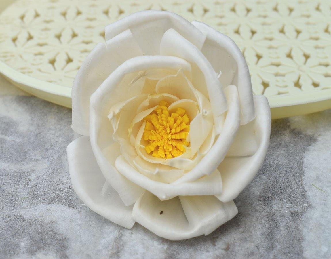 Pollen Bird Rose Sola Wood Flower