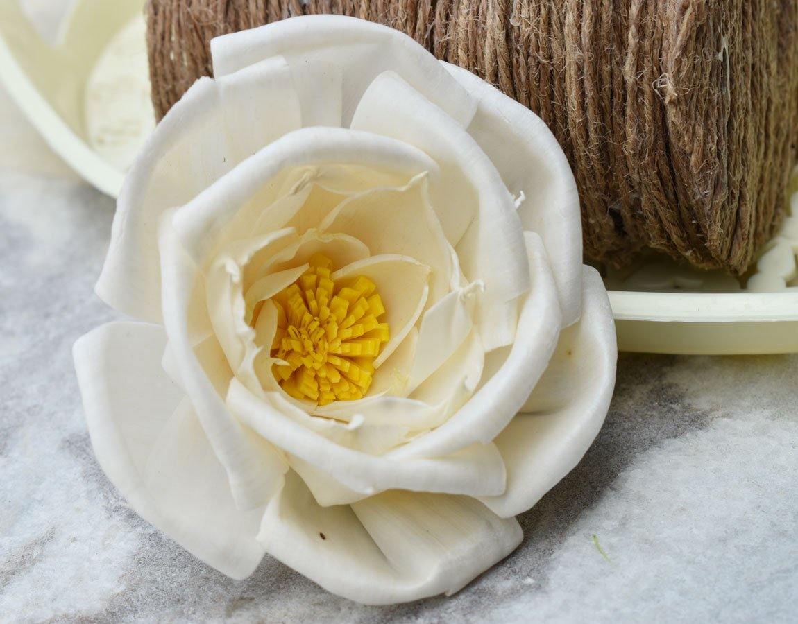 Pollen Bird Rose Sola Wood Flower