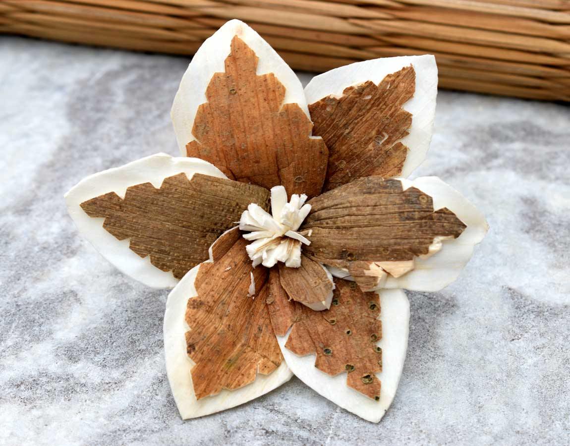 Sky Star Sola Wood Skin Flower