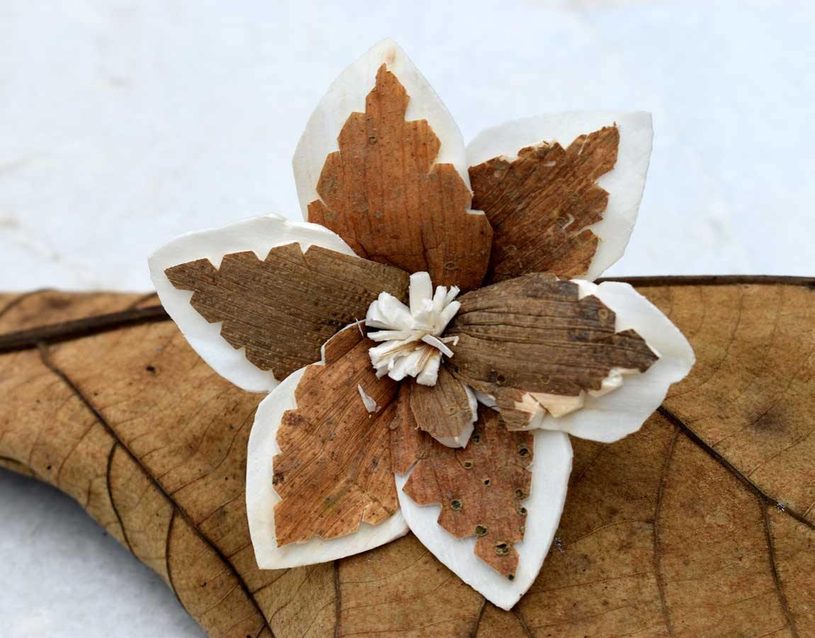 Sky Star Sola Wood Skin Flower